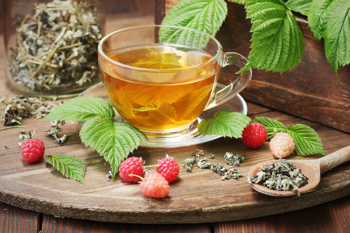 Red Raspberry Leaf Tea: Benefits, Pregnancy & Brewing Guide – Finest ...