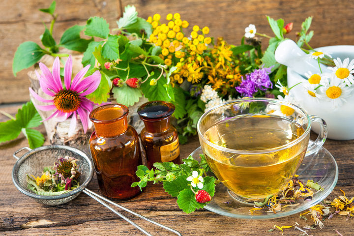 A Guide to Aiding Digestion Naturally: The Soothing Power of Organic Loose-Leaf Tea