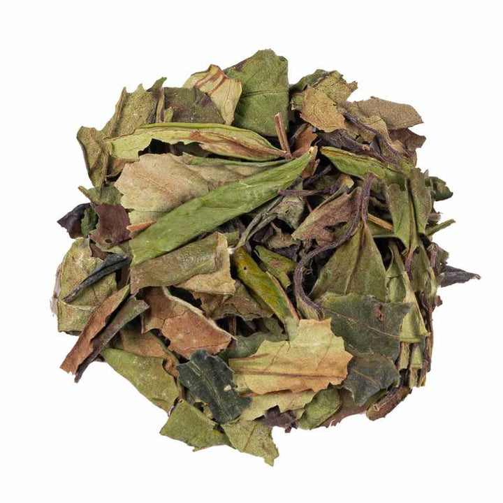 Buy Organic White Tea Superior Blend - Unveiling Nature's Elixir