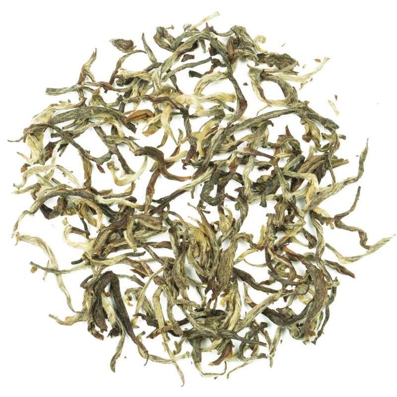 Buy Organic Himalayan Snow Mountain - Unveil a Rare White Tea Gem