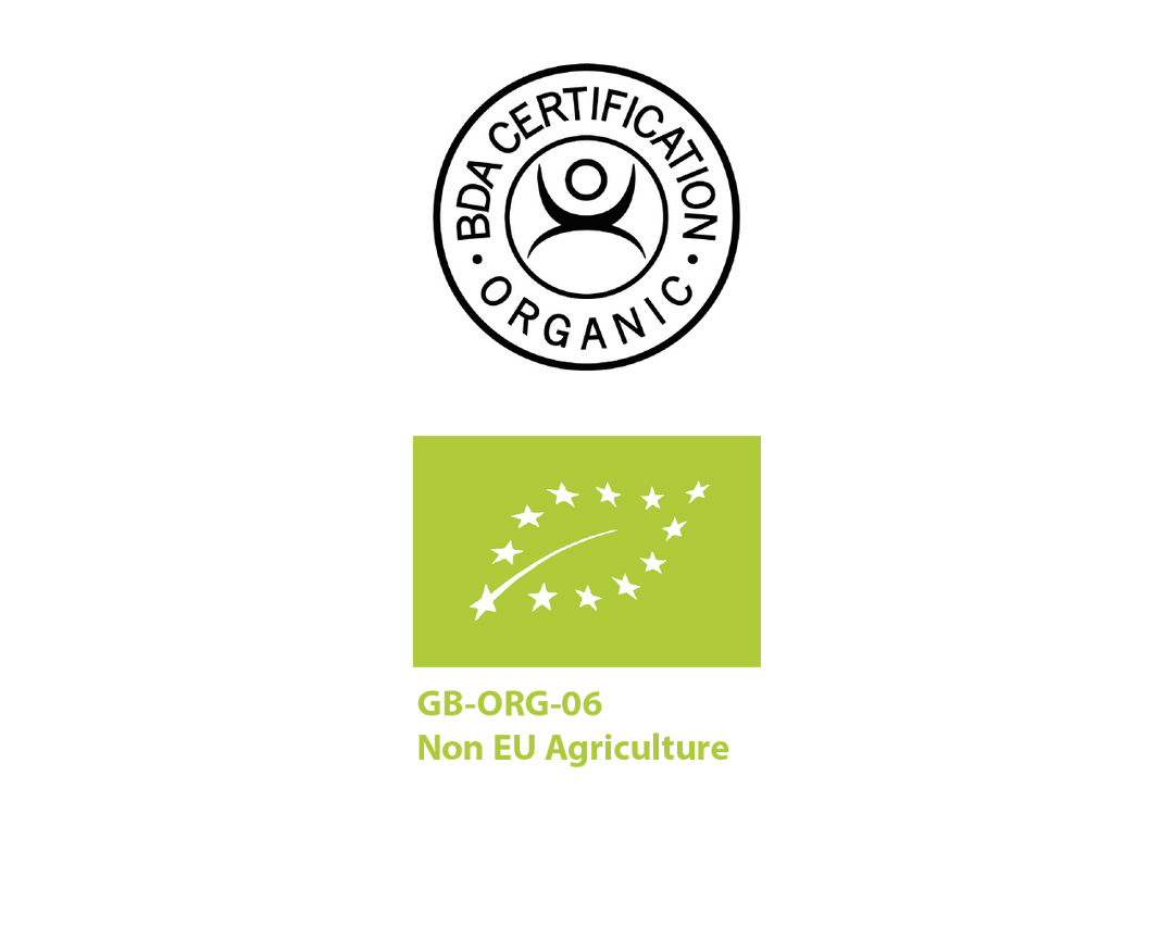 Buy Organic Premium Pu Erh Menghai Five Years - Experience Aged Pu-erh's Richness