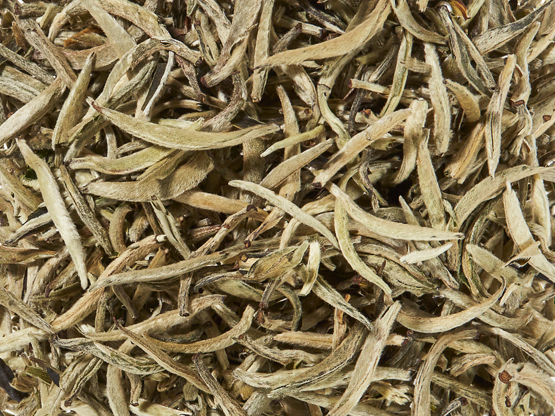 Organic Downy Silver Needle (Bai Hao Yin Zhen) White Tea loose leaf buds.