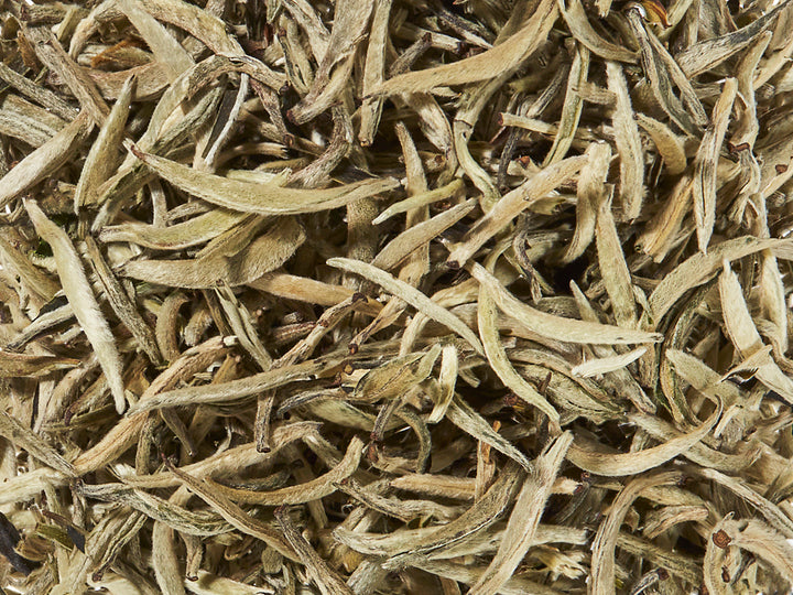 Organic Downy Silver Needle (Bai Hao Yin Zhen) White Tea loose leaf buds.