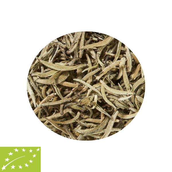 Organic China Downy Silver Needle Loose Leaf White Tea